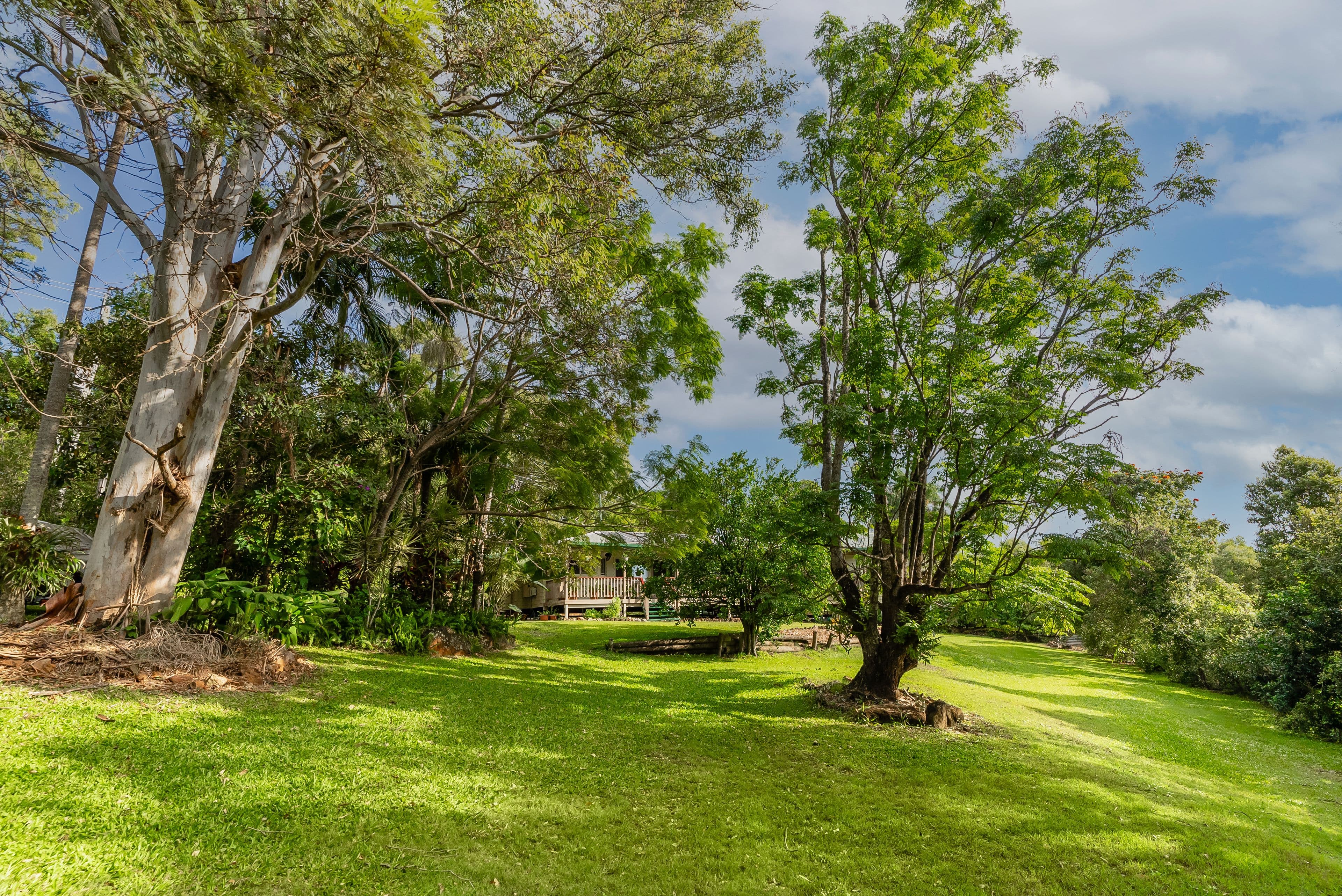 227-231 Camp Flat Road, Bli Bli QLD 4560, Bli Bli - Thumbnail 7