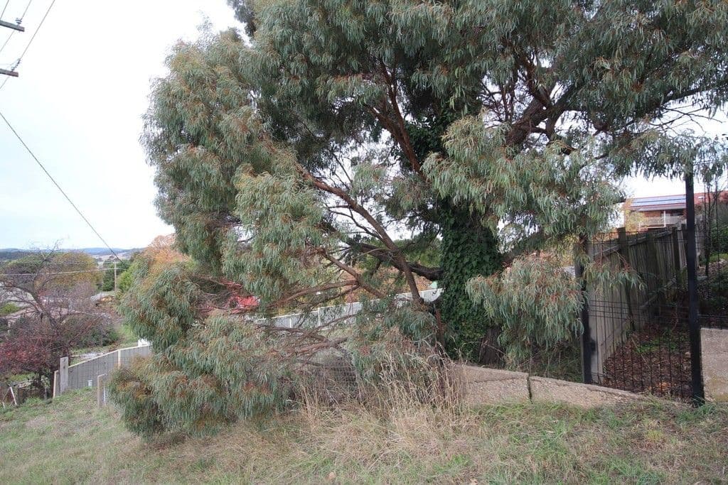 56 Oberon Street, Oberon NSW 2787, Oberon - Thumbnail 2