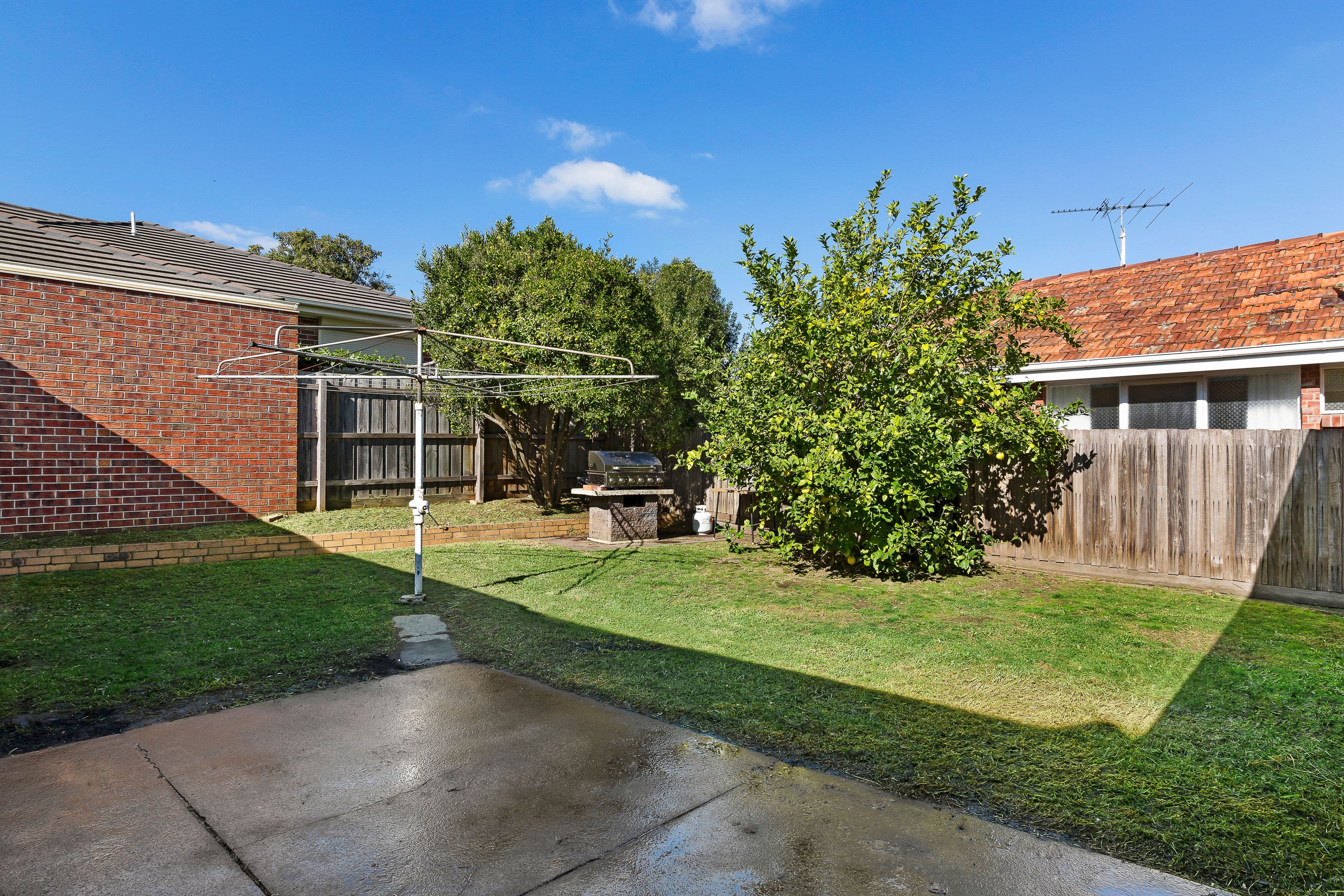 38 Kanooka Grove, Clayton VIC 3168, Clayton - Thumbnail 5