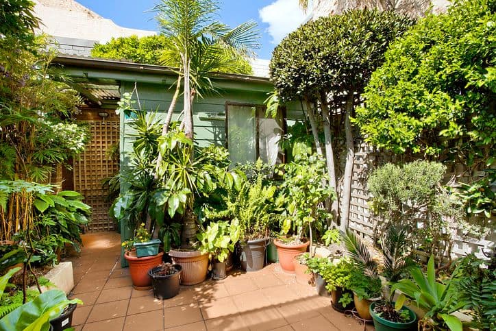 174 Commonwealth Street, SURRY HILLS NSW 2010, Surry Hills - Thumbnail 3