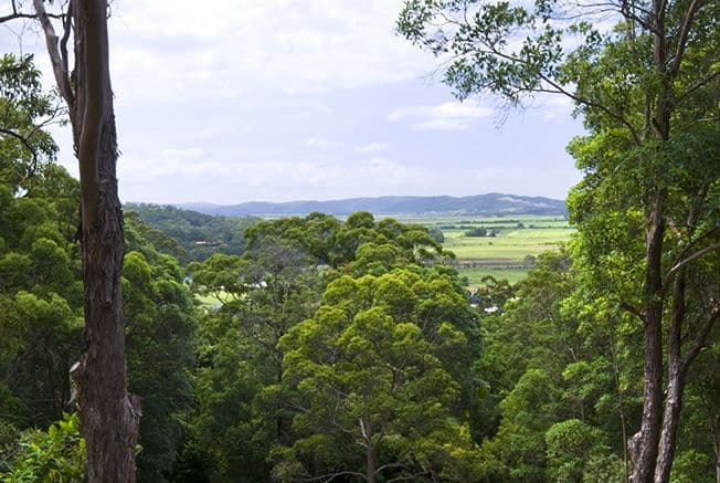 16 Whitecross Road, BLI BLI QLD 4560, Bli Bli - Thumbnail 5