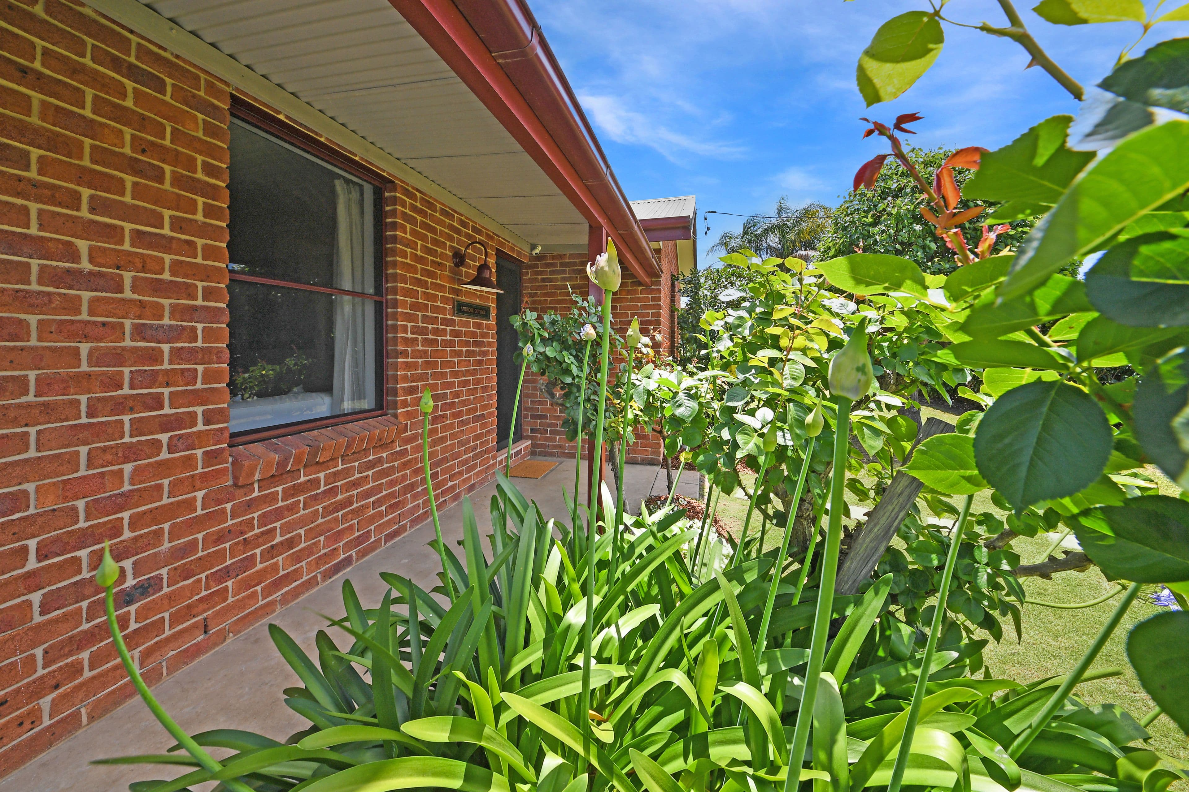 73 Scott Street, Scone NSW 2337, Scone - Thumbnail 4