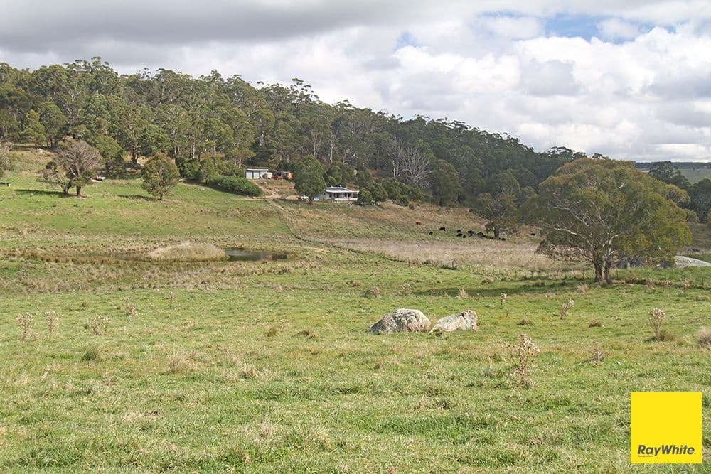 540 Slap Up Road, Jerangle NSW 2630, Jerangle - Image 1