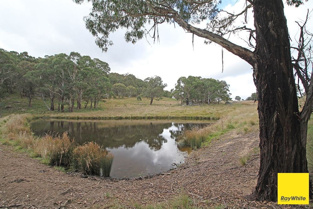 540 Slap Up Road, Jerangle NSW 2630, Jerangle - Thumbnail 8