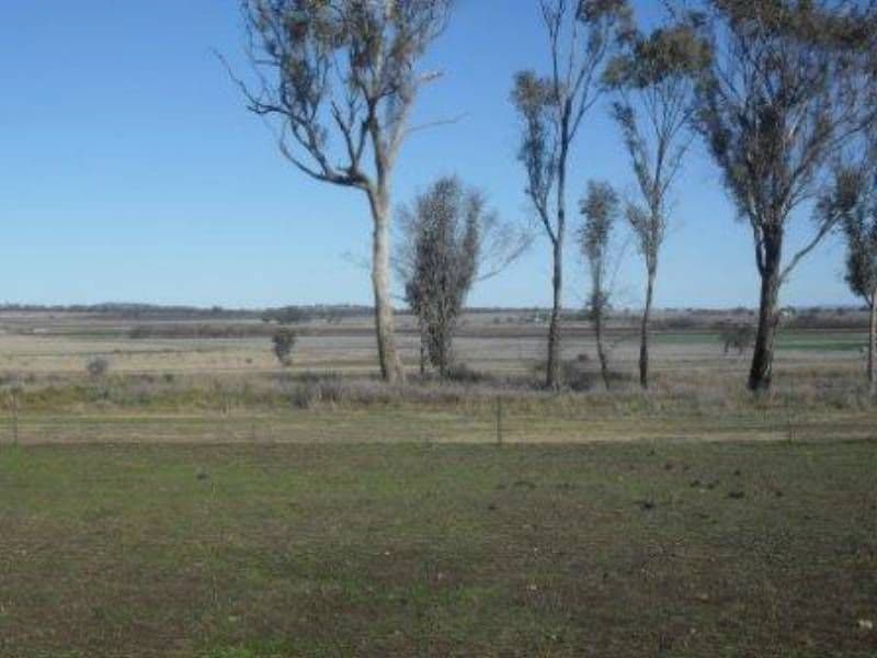 DELUNGRA NSW 2403, Delungra - Image 1