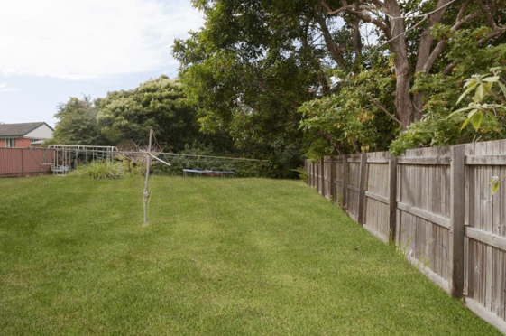 17 Douglas Street, Woodridge QLD 4114, Woodridge - Thumbnail 6