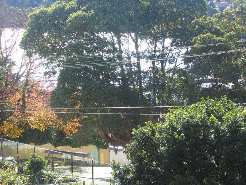 37 Walton Crescent, ABBOTSFORD NSW 2046, Abbotsford - Thumbnail 3