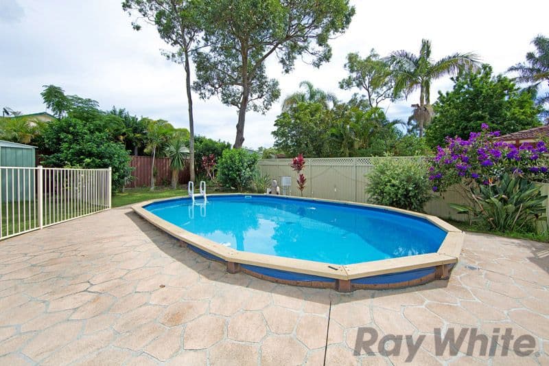 16 Wailele Avenue, Budgewoi NSW 2262, Budgewoi - Thumbnail 7