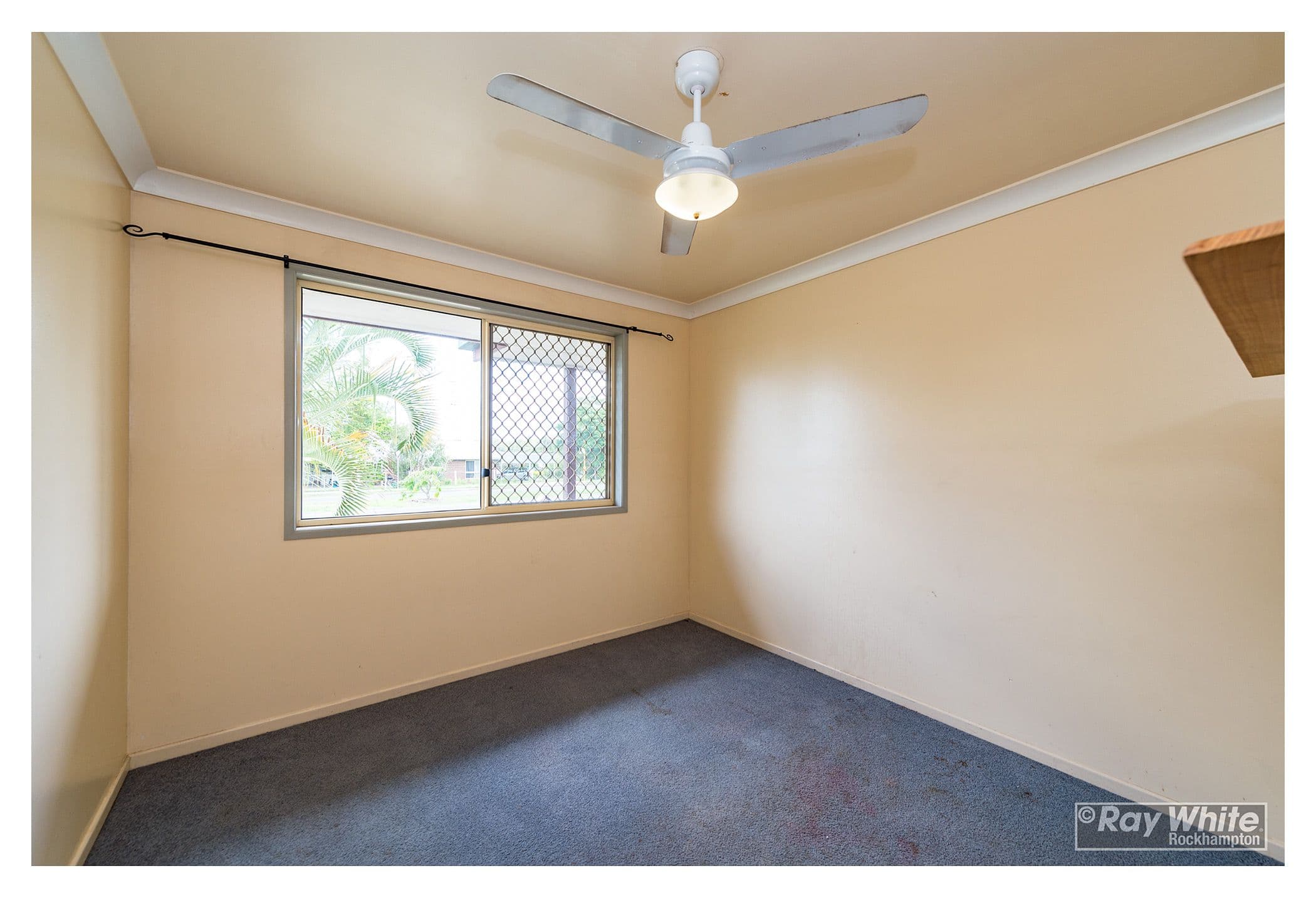 7 Ranger Street, Gracemere QLD 4702, Gracemere - Thumbnail 4