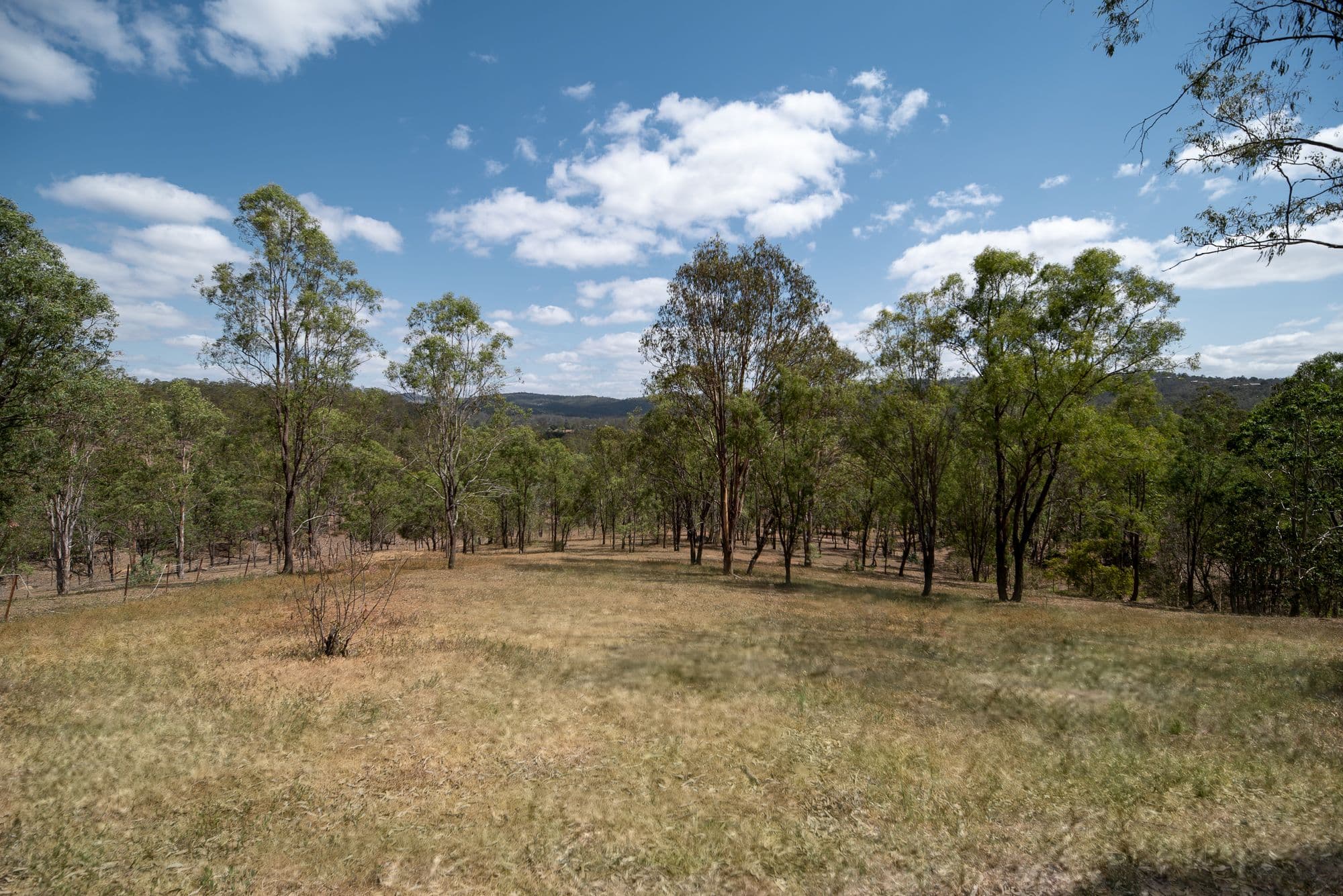 91 - 99 Kooralbyn Drive, Kooralbyn QLD 4285, Kooralbyn - Thumbnail 5
