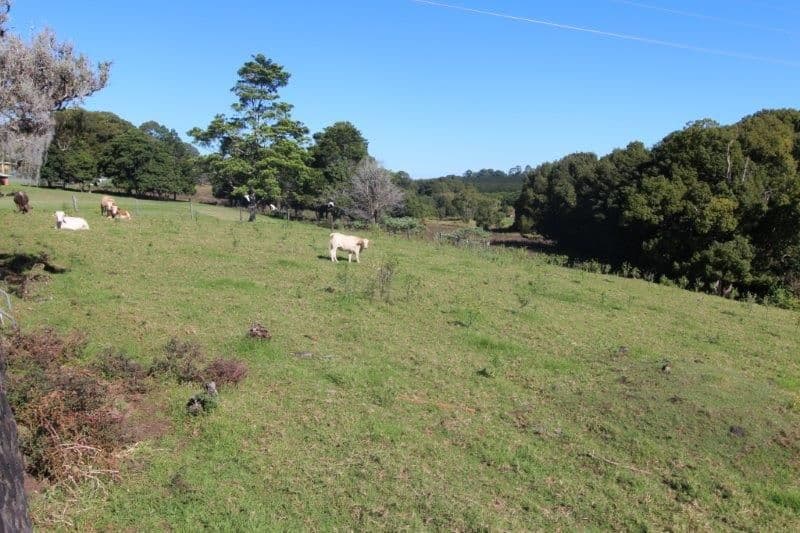 844 Tregeagle Road, Tregeagle NSW 2480, Tregeagle - Thumbnail 5