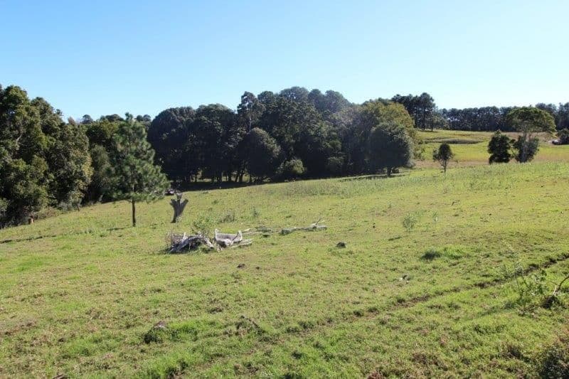 844 Tregeagle Road, Tregeagle NSW 2480, Tregeagle - Thumbnail 7