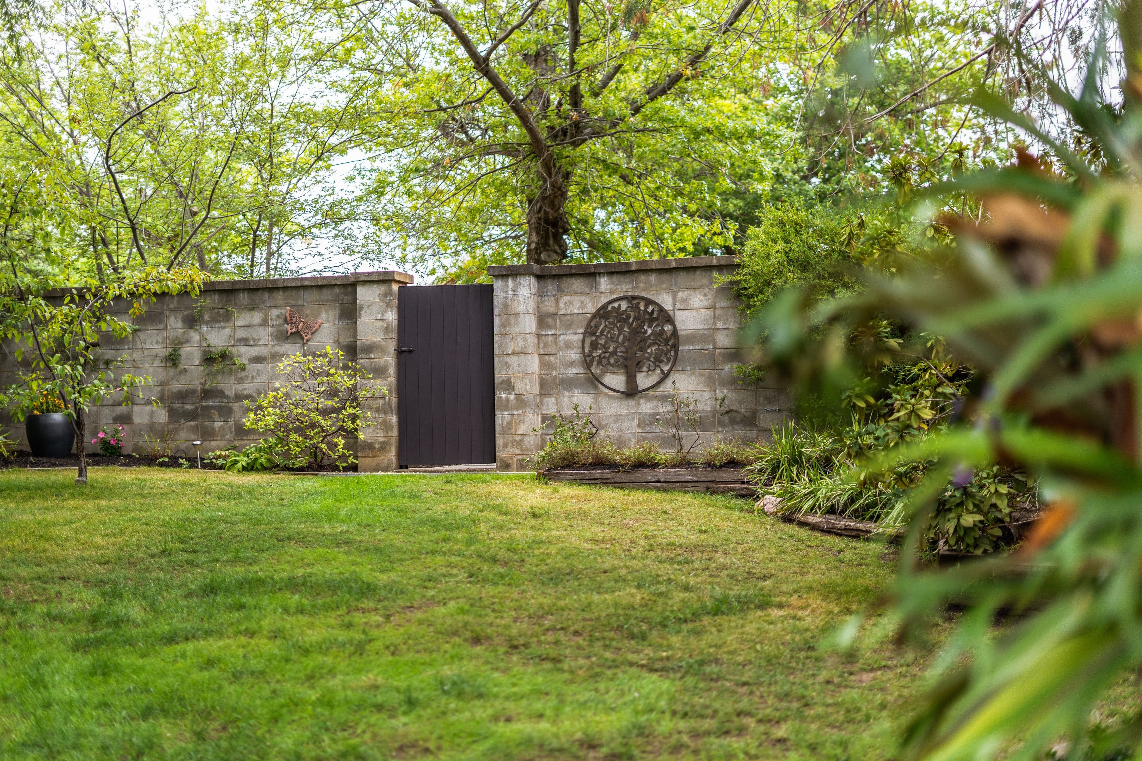 8 Schlich Street, Yarralumla ACT 2600, Yarralumla - Thumbnail 4