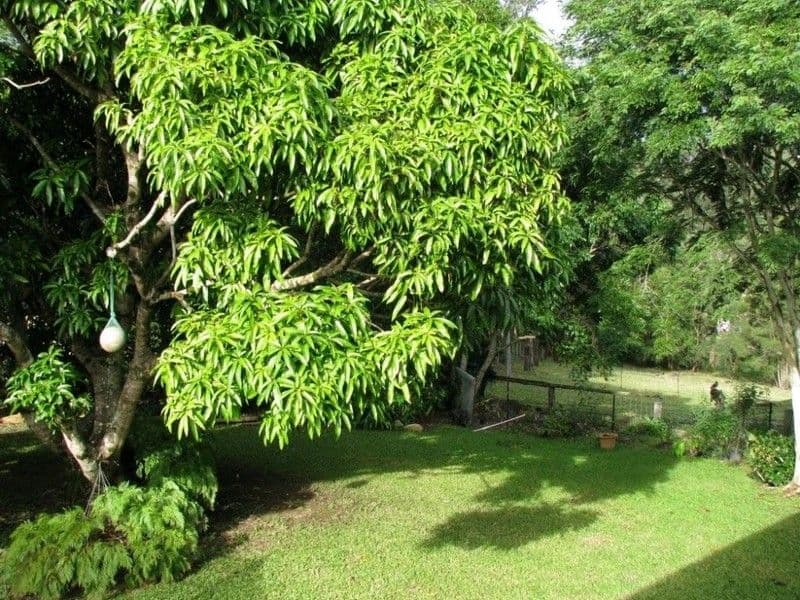 VERRIERDALE QLD 4562, Verrierdale - Thumbnail 4