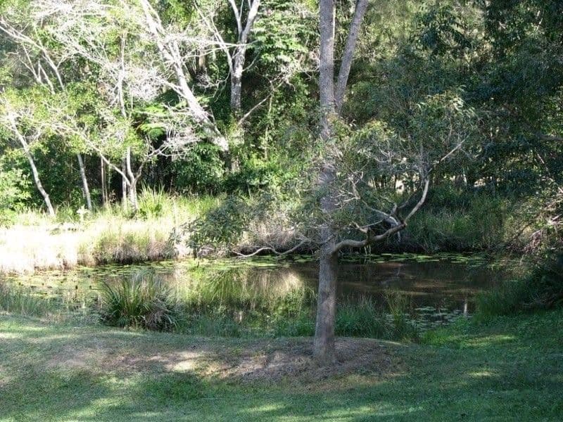 VERRIERDALE QLD 4562, Verrierdale - Thumbnail 8