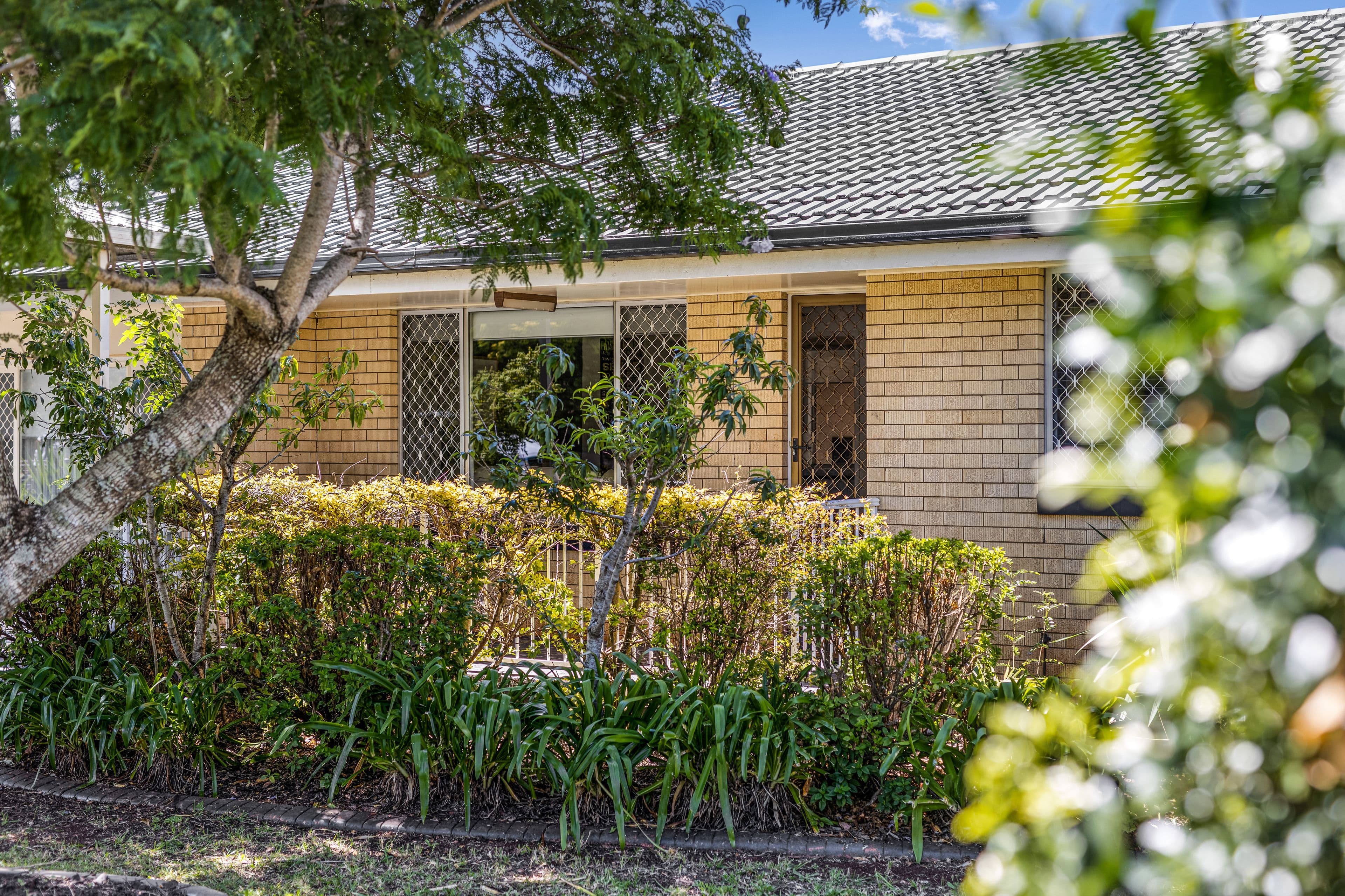 21 Merino Street, Harristown QLD 4350, Harristown - Thumbnail 2