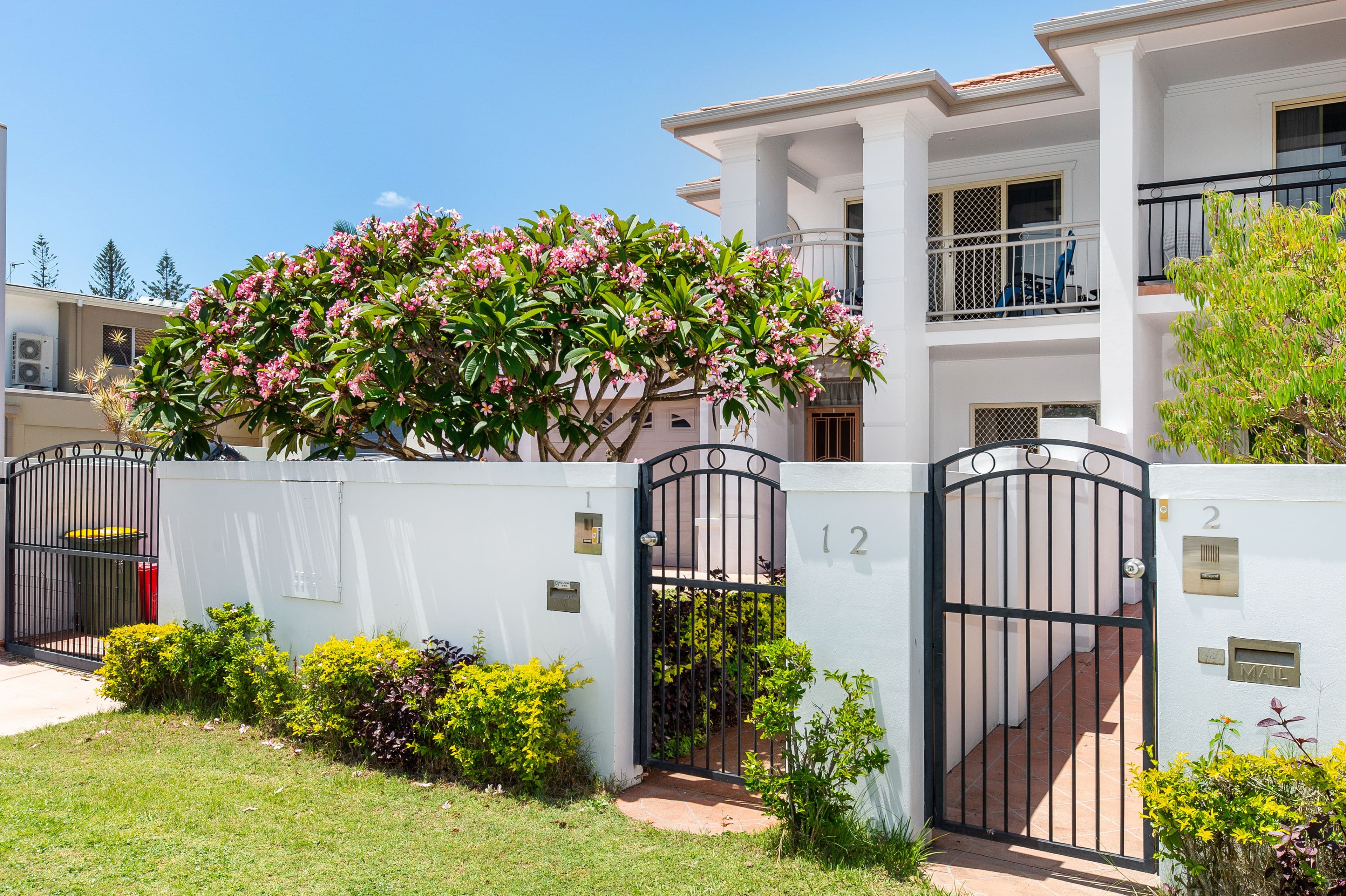 12 Jasmine Avenue, Hollywell QLD 4216, Hollywell - Thumbnail 4