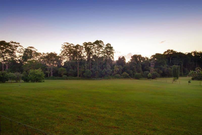 6 Jeanne Court, Peachester QLD 4519, Peachester - Thumbnail 4
