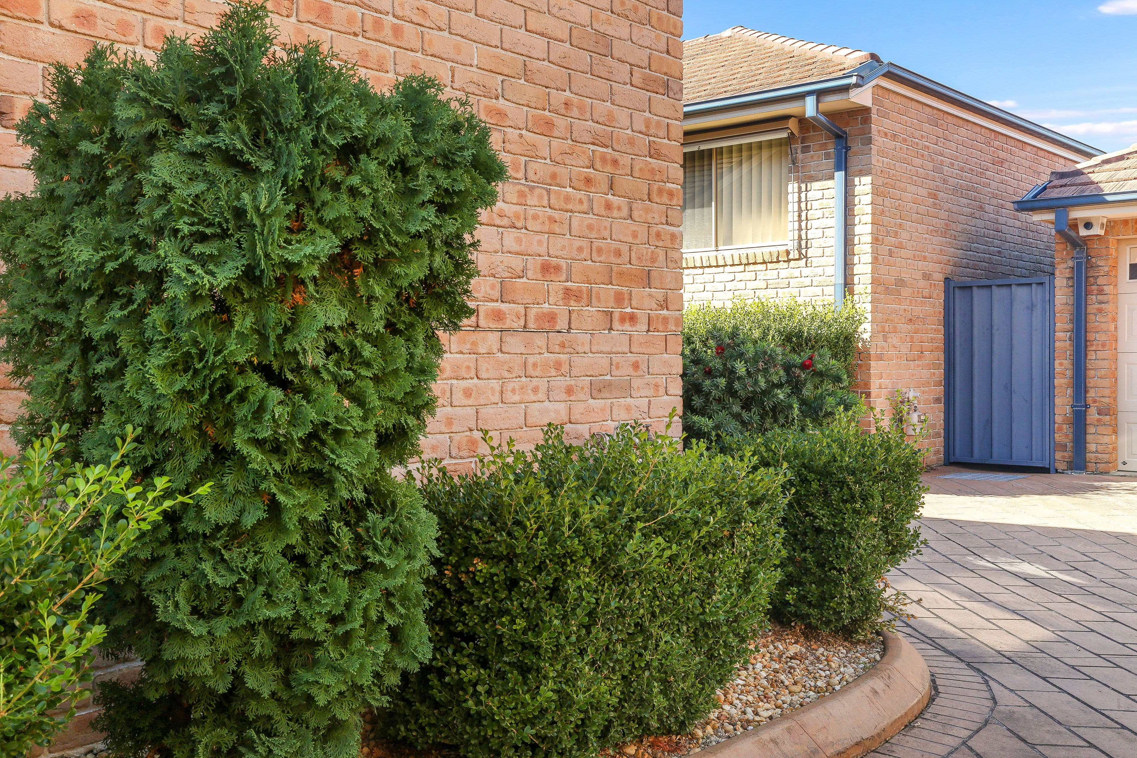 73 Albert Street, Revesby NSW 2212, Revesby - Thumbnail 2