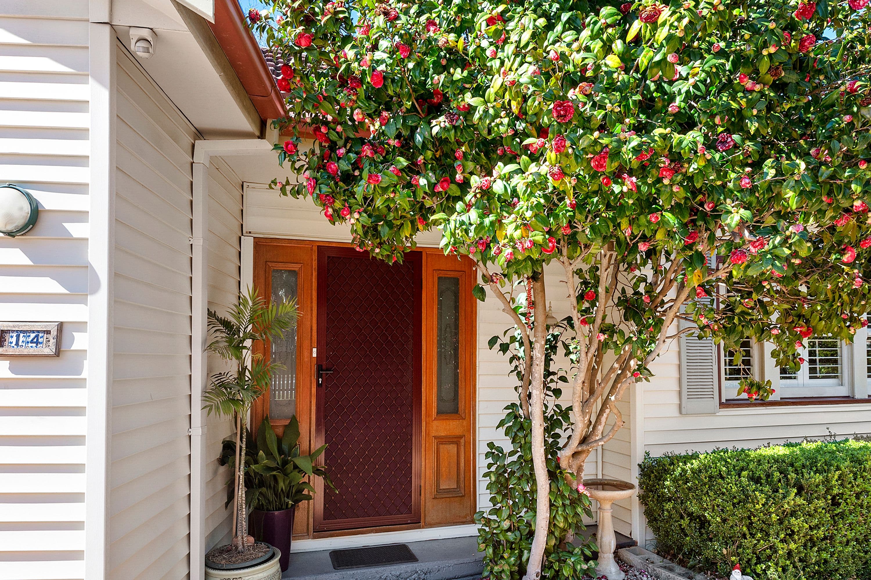 14 Galston Road, Hornsby - Thumbnail 2