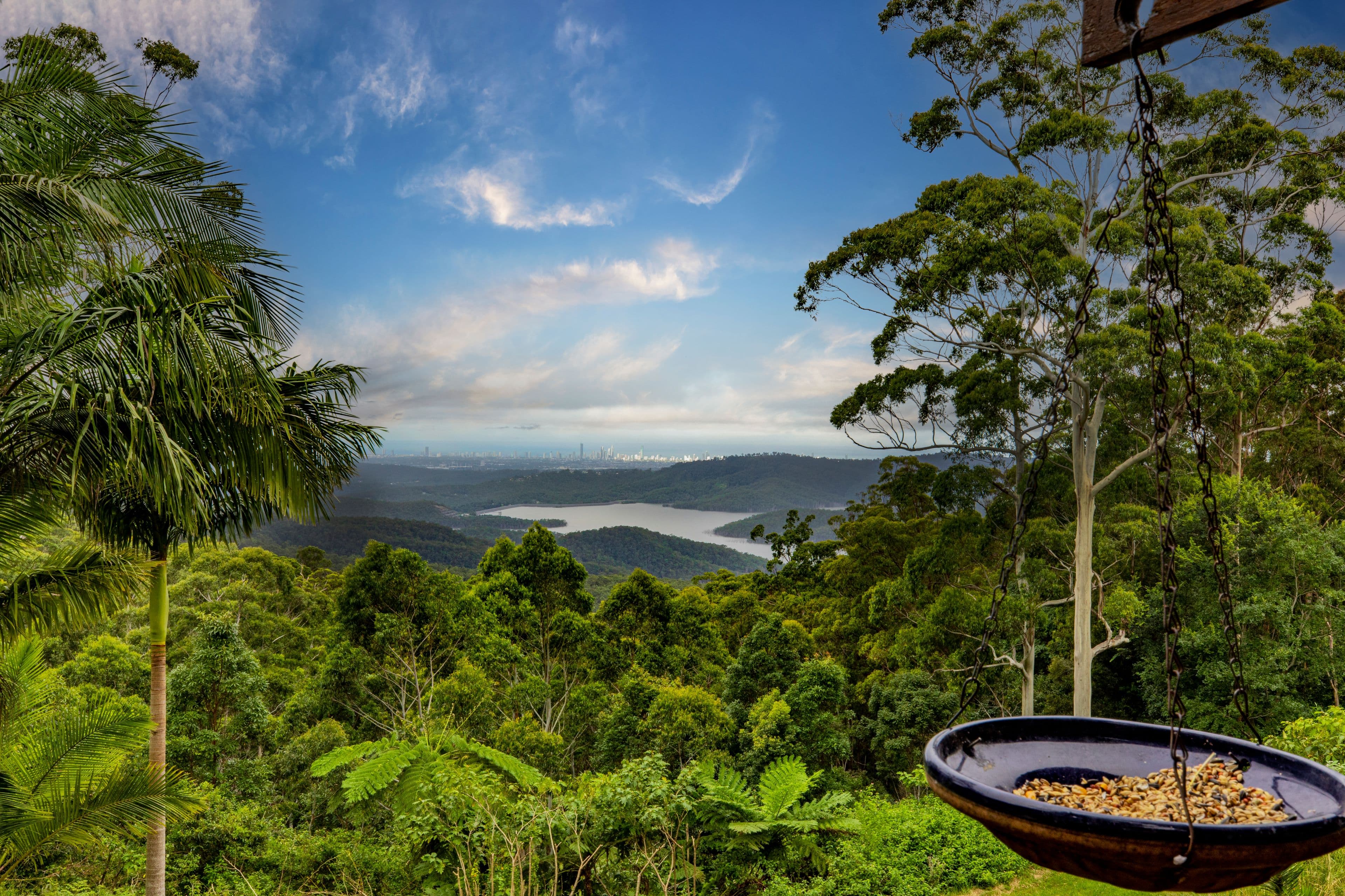 3 Ingham Street, Lower Beechmont QLD 4211, Lower Beechmont - Thumbnail 2