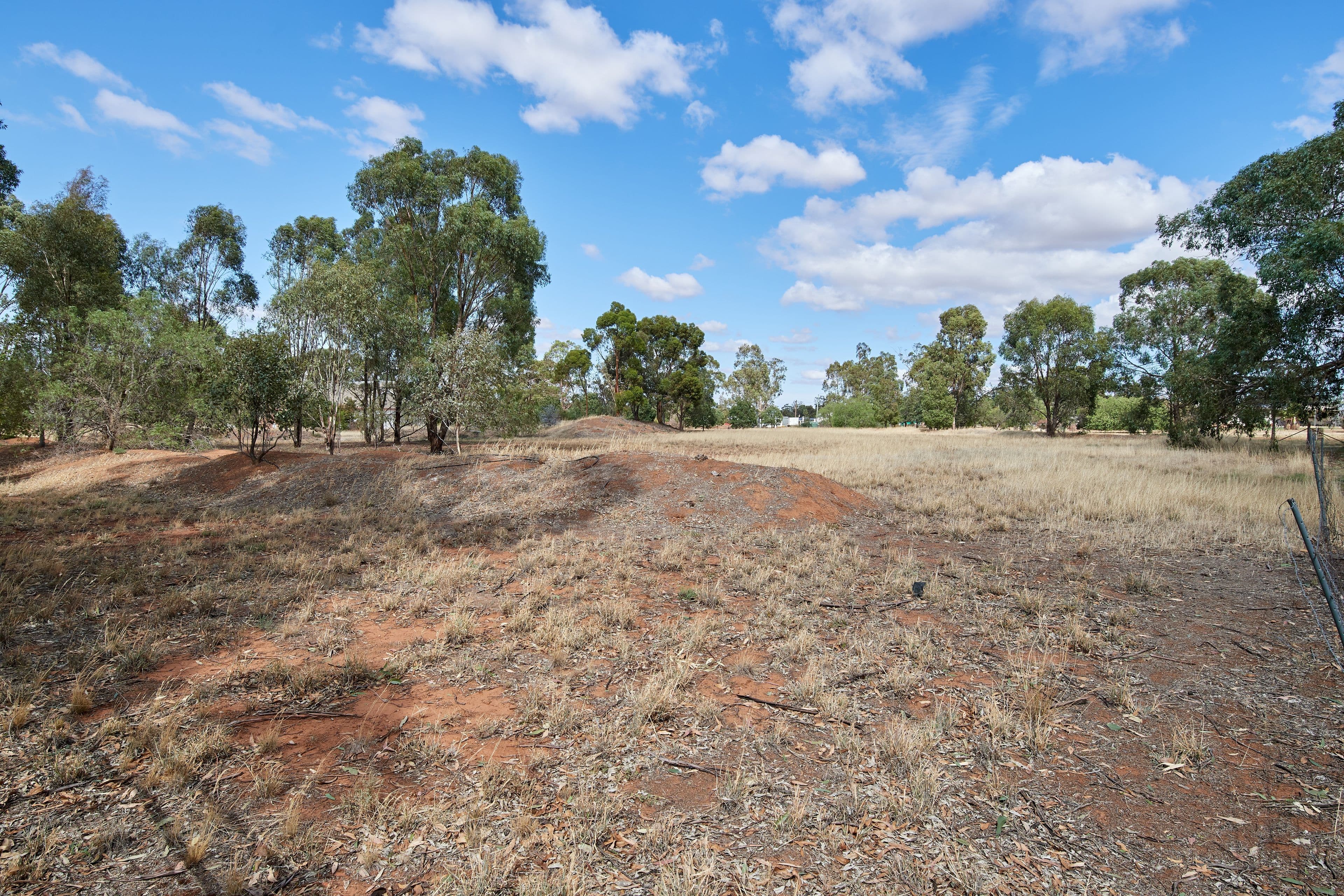 5-7 Curtis Lane, Coolamon NSW 2701, Coolamon - Thumbnail 3