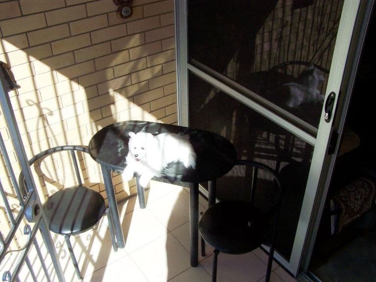 23 Humpybong Esplanade, REDCLIFFE QLD 4020, Redcliffe - Thumbnail 6