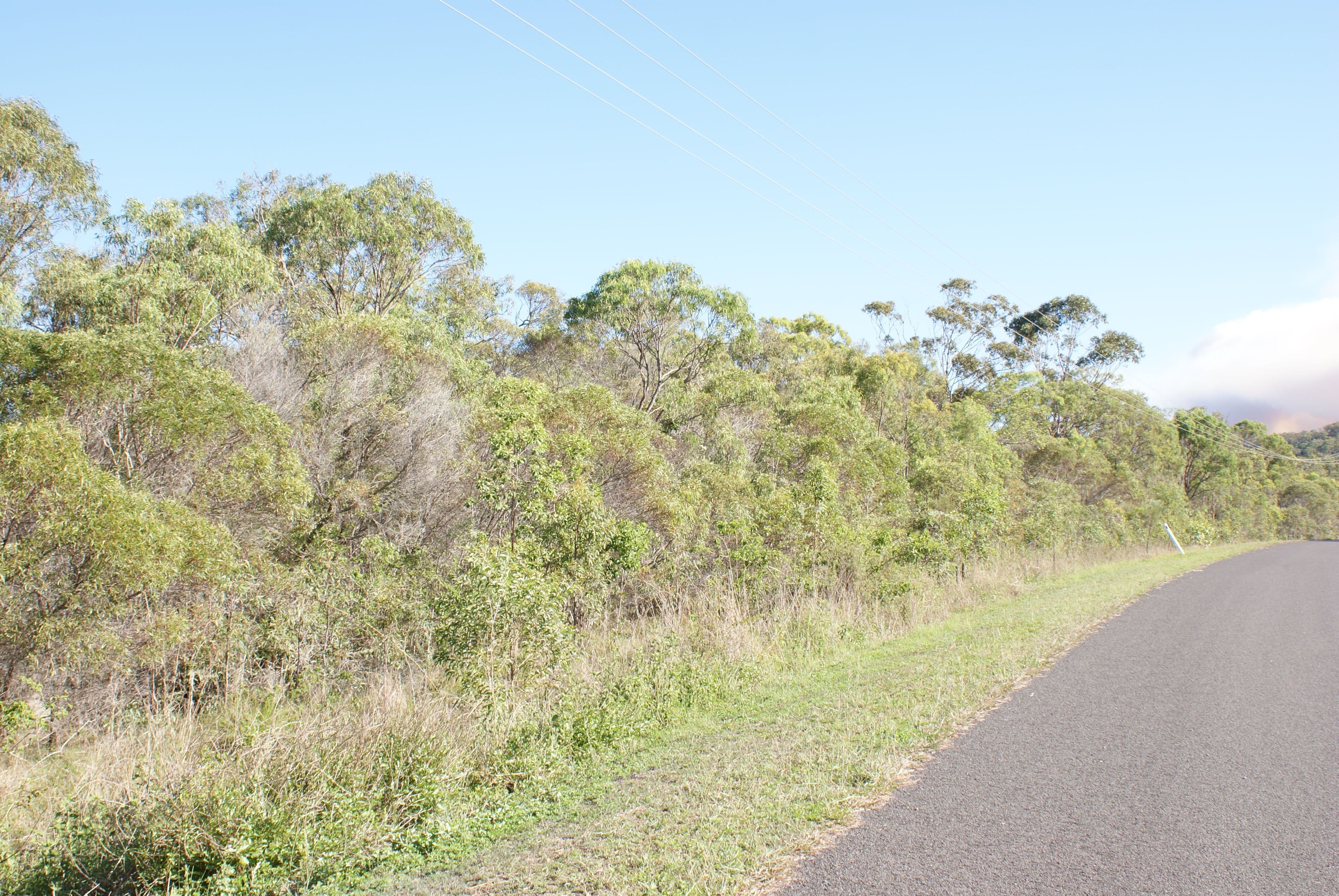 Lot  59 Hakea Court, Miriam Vale QLD 4677, Miriam Vale - Thumbnail 4