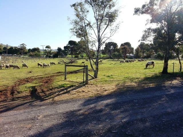 Number5, Lot 9 Sherman Street, WILMINGTON SA 5485, Wilmington - Thumbnail 6