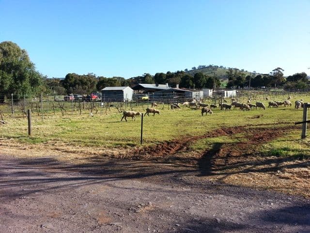 Number5, Lot 9 Sherman Street, WILMINGTON SA 5485, Wilmington - Thumbnail 7