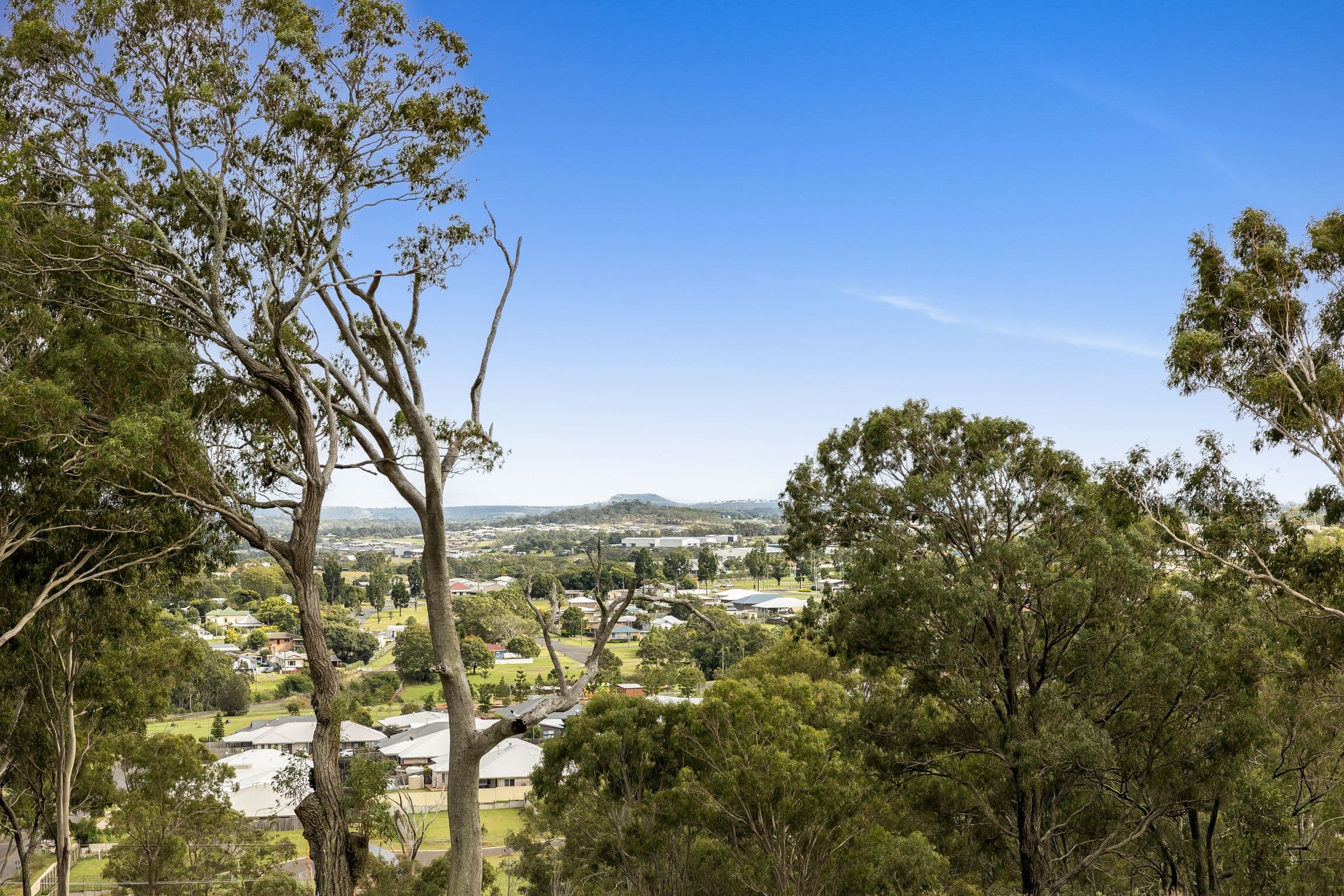 Proposed Lot 5 Frew Street, Darling Heights QLD 4350, Darling Heights - Thumbnail 6