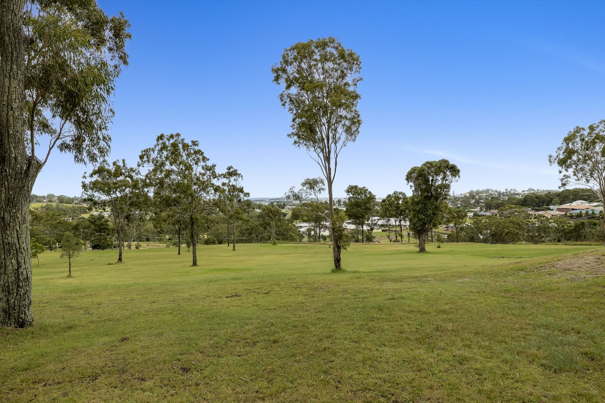 Proposed Lot 5 Frew Street, Darling Heights QLD 4350, Darling Heights - Thumbnail 8