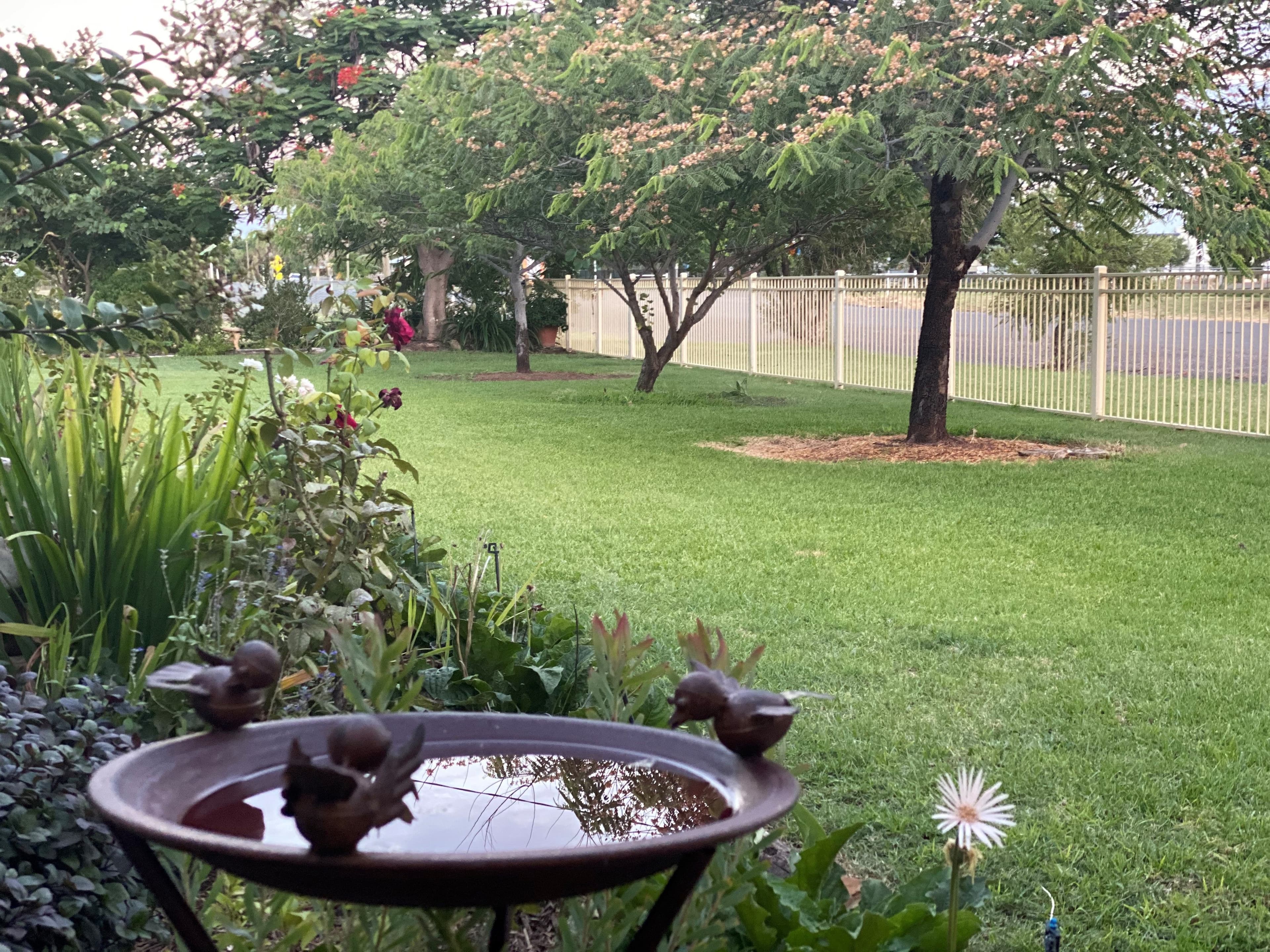 98 Yew Street, Barcaldine QLD 4725, Barcaldine - Thumbnail 2