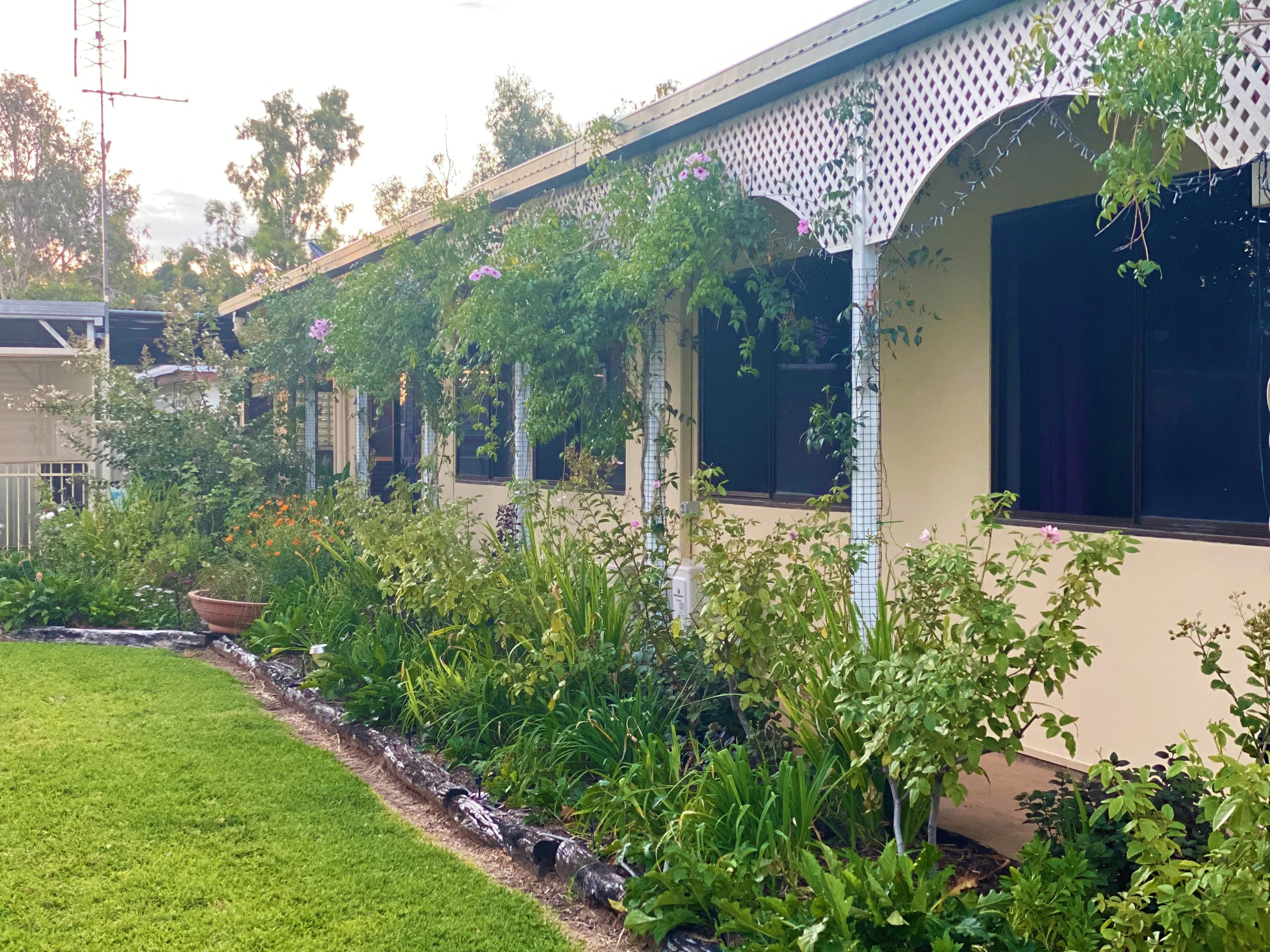 98 Yew Street, Barcaldine QLD 4725, Barcaldine - Thumbnail 3