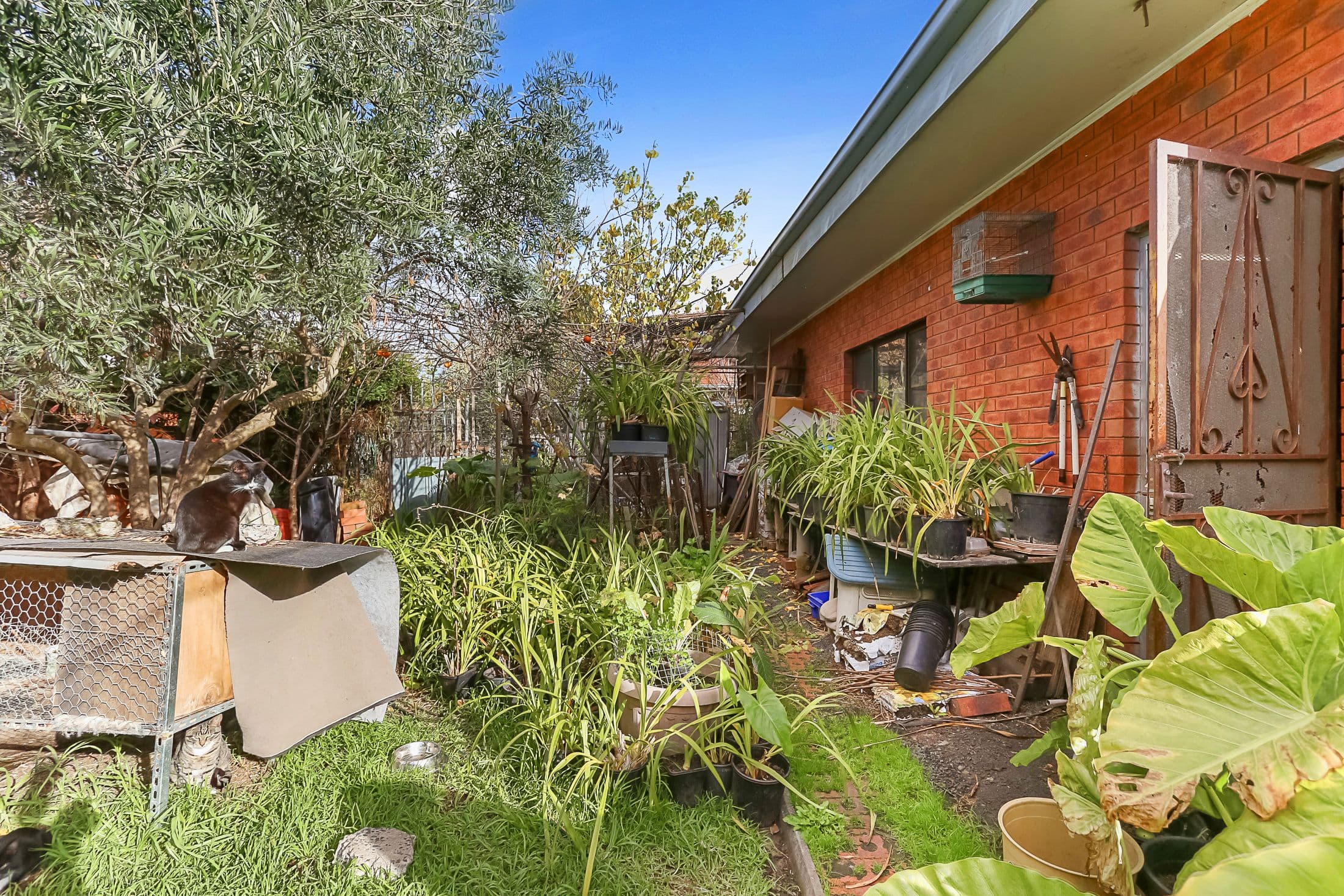 161 Glenroy Road, Glenroy VIC 3046, Glenroy - Thumbnail 8