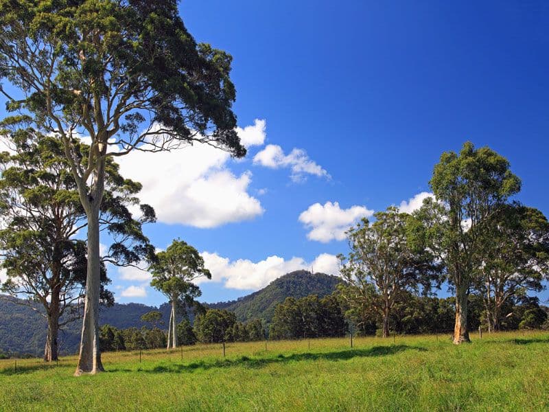 Lot 119 Taylors Lane, CAMBEWARRA NSW 2540, Cambewarra - Image 1