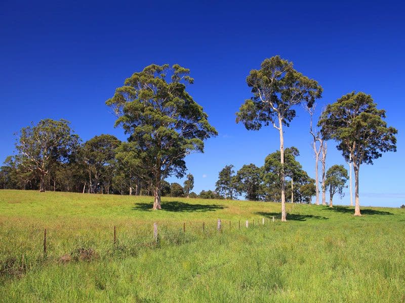 Lot 119 Taylors Lane, CAMBEWARRA NSW 2540, Cambewarra - Thumbnail 8