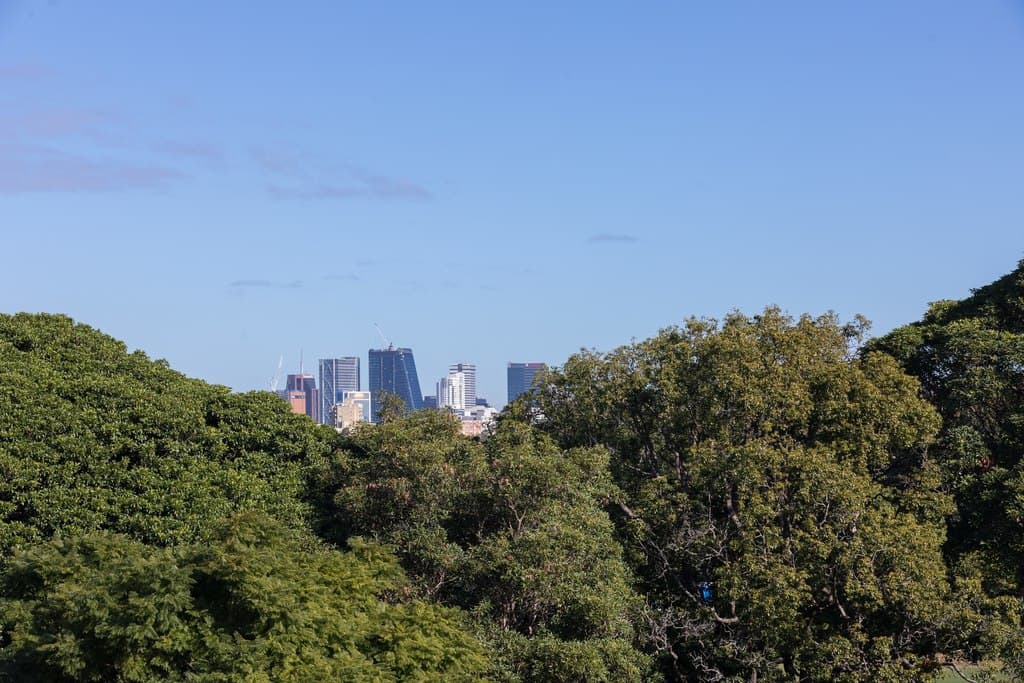 16/669 Military Road, Mosman - Thumbnail 4