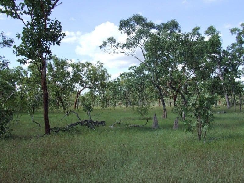 6208 Edith Farms Road, KATHERINE NT 0850, Katherine - Thumbnail 4