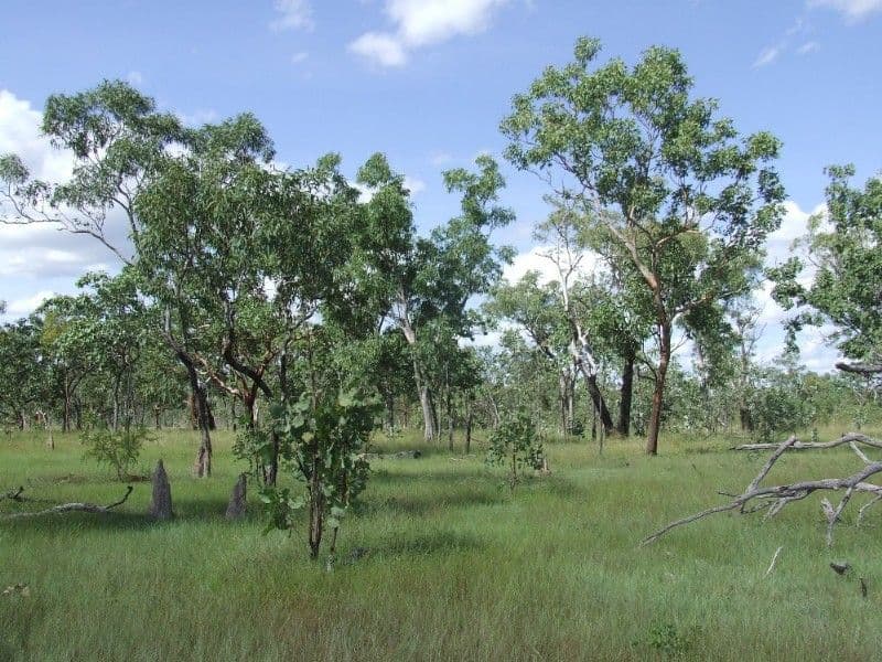 6208 Edith Farms Road, KATHERINE NT 0850, Katherine - Thumbnail 5