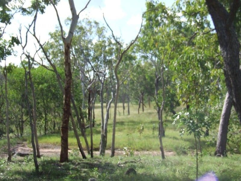 6208 Edith Farms Road, KATHERINE NT 0850, Katherine - Thumbnail 7