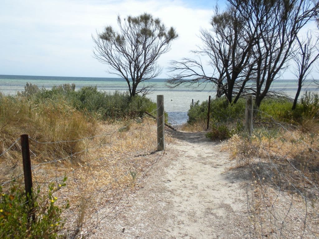 6 Pinwattle Place, The Pines SA 5575, The Pines - Thumbnail 4