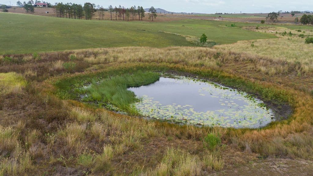 296 Boyland Road, Boyland QLD 4275, Boyland - Thumbnail 7