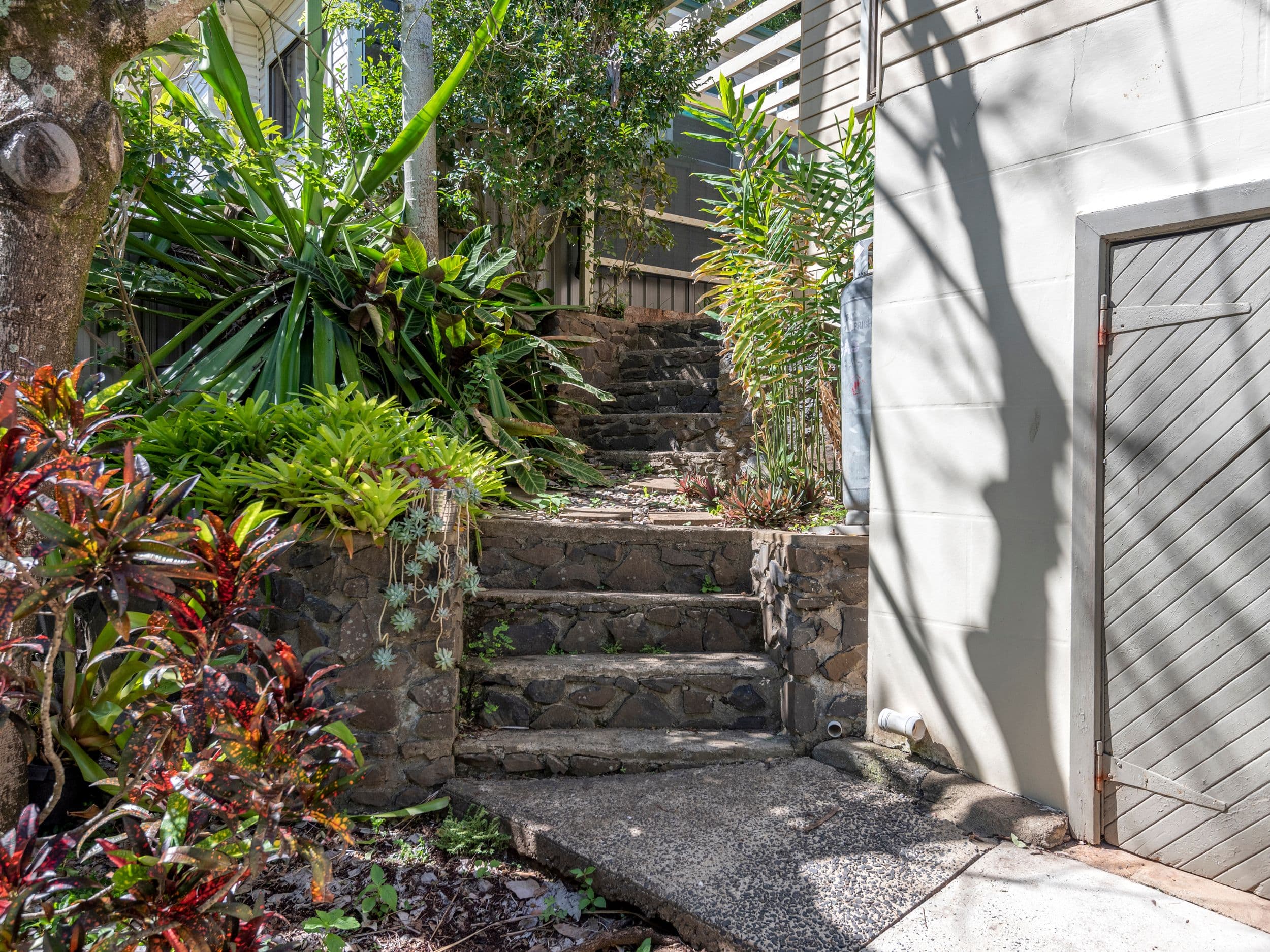 177 Orion Street, Lismore NSW 2480, Lismore - Thumbnail 4