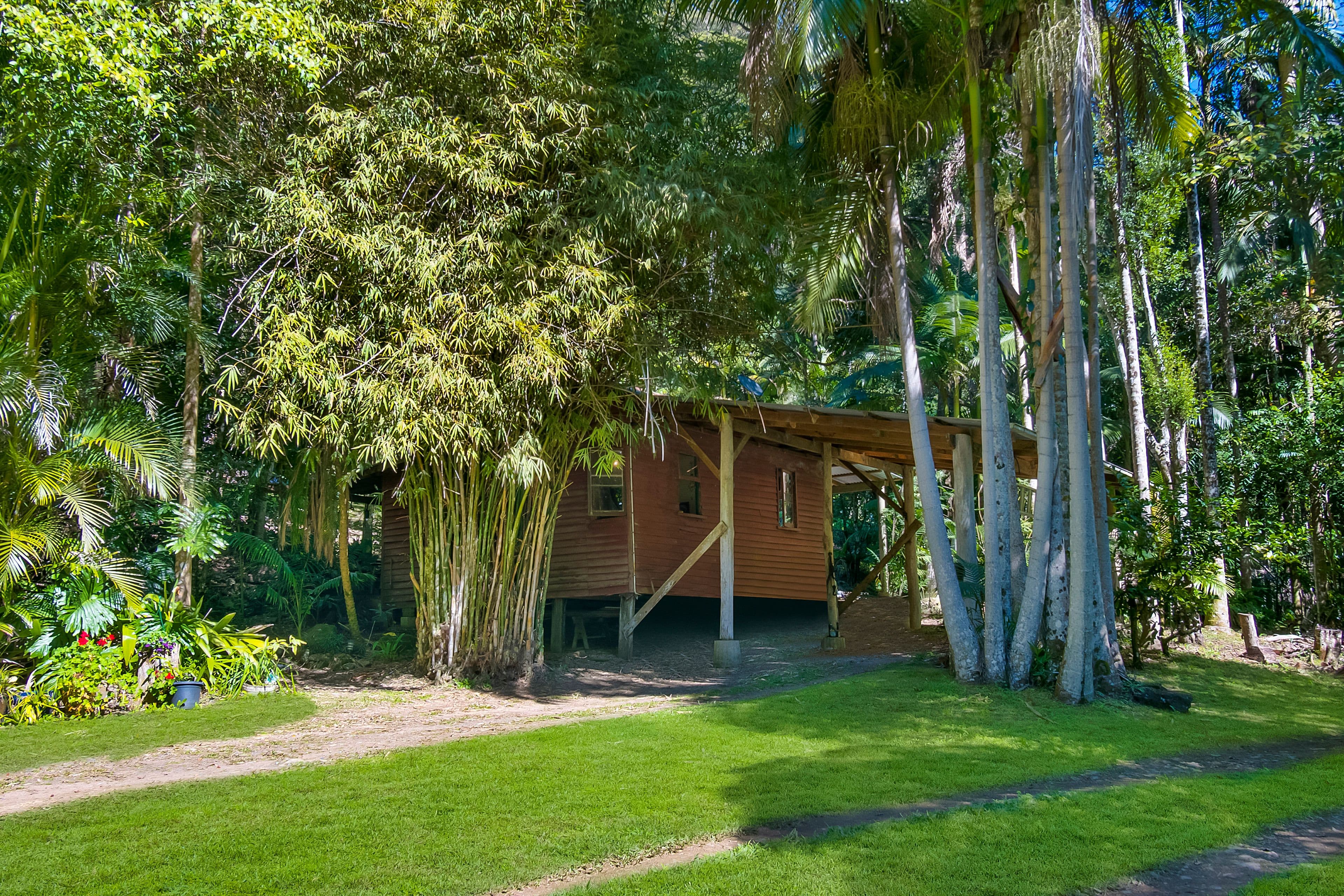 560 Middle Pocket Road, Middle Pocket NSW 2483, Middle Pocket - Thumbnail 5