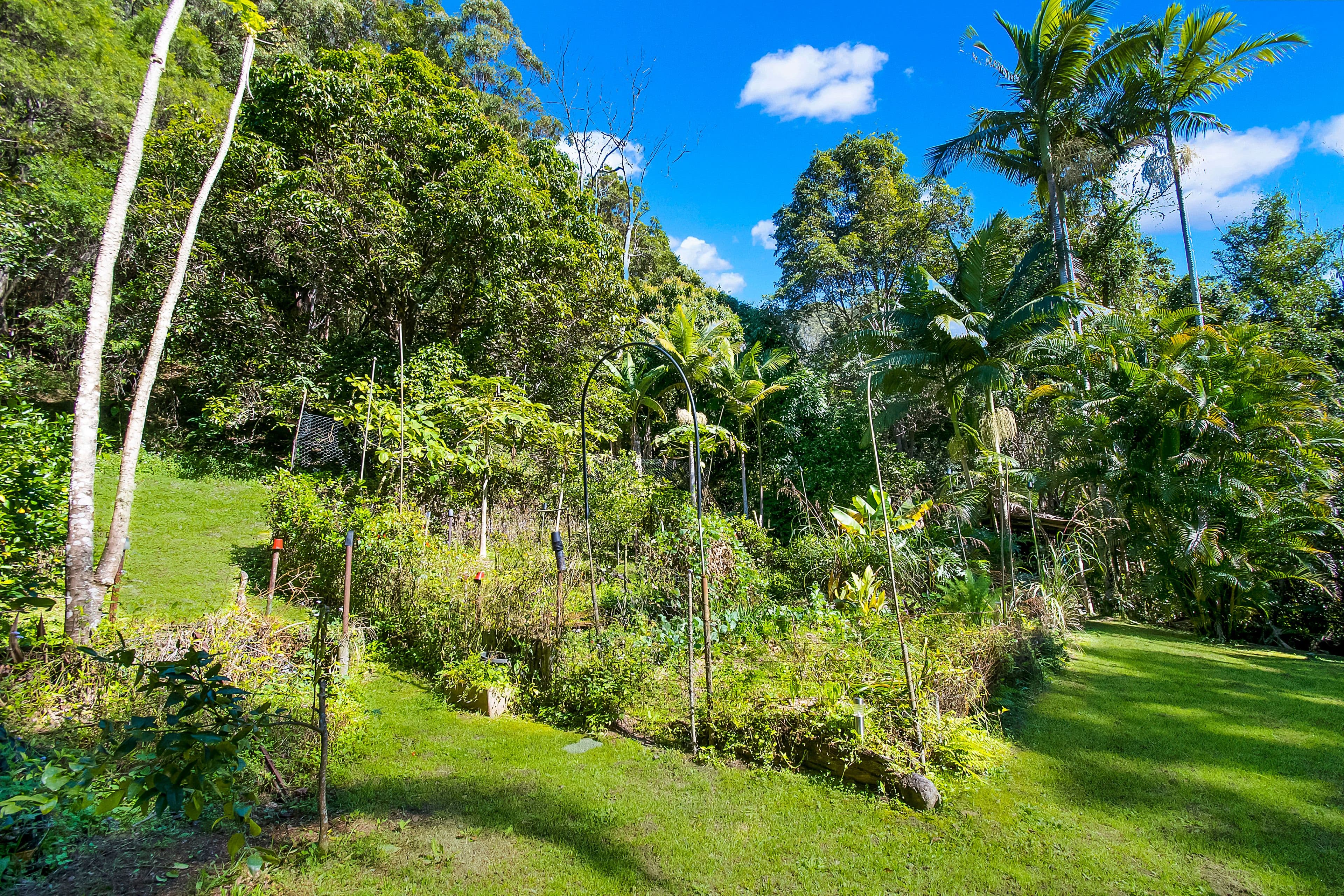 560 Middle Pocket Road, Middle Pocket NSW 2483, Middle Pocket - Thumbnail 8