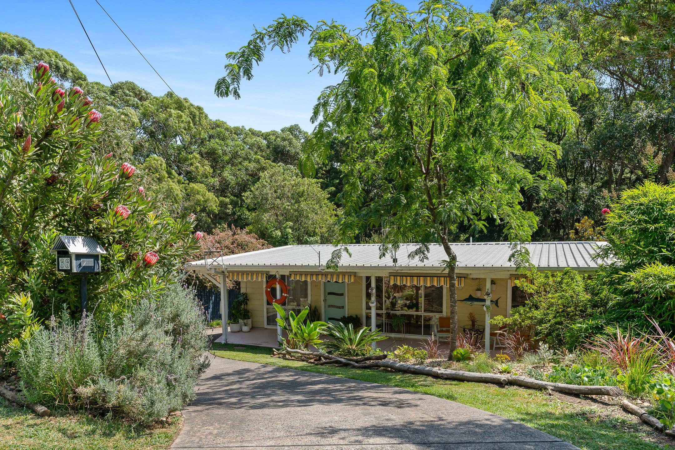 66 Ross Avenue, Narrawallee NSW 2539, Narrawallee - Thumbnail 5