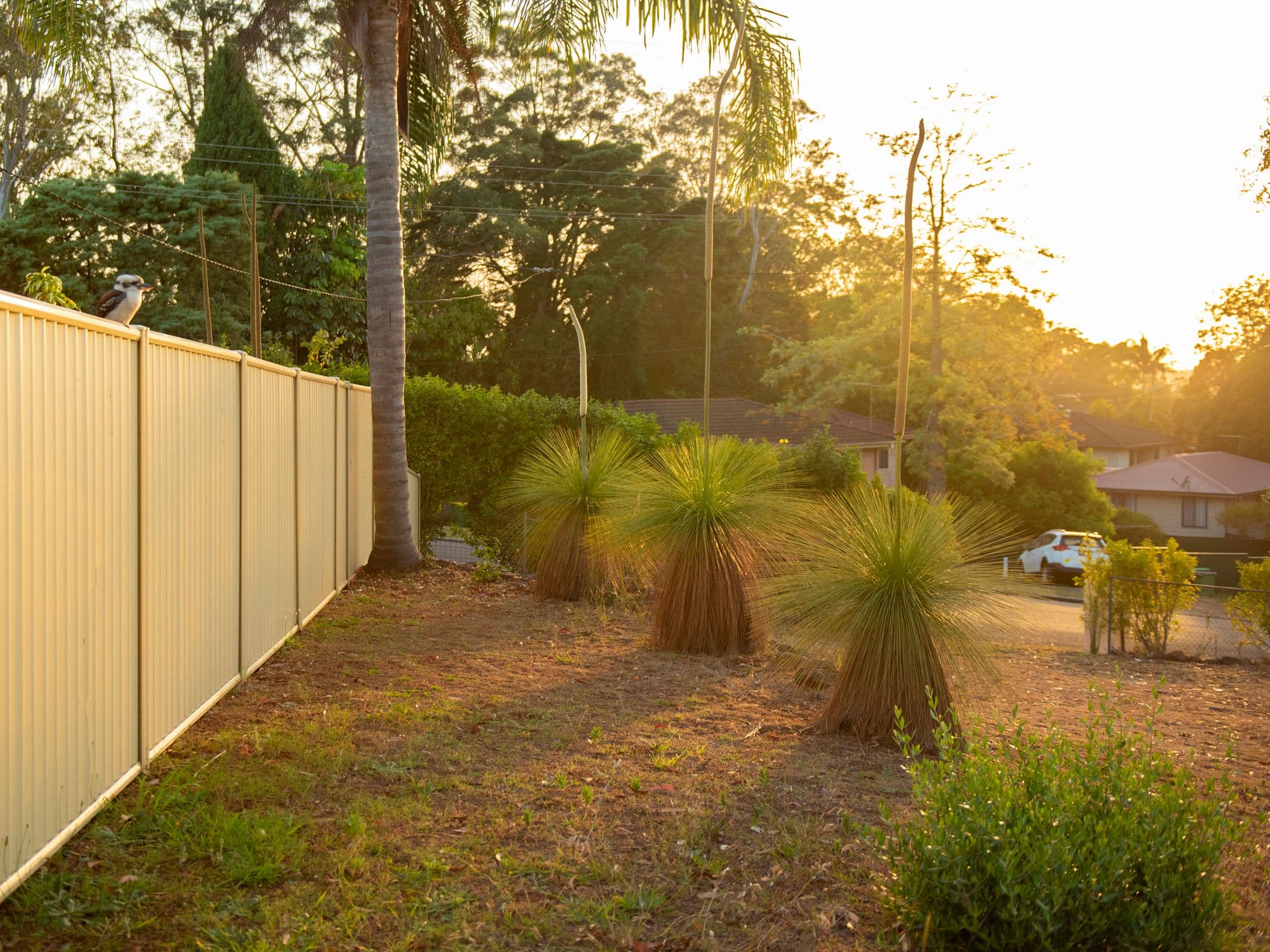 41 Phillip Street, Goonellabah NSW 2480, Goonellabah - Thumbnail 3