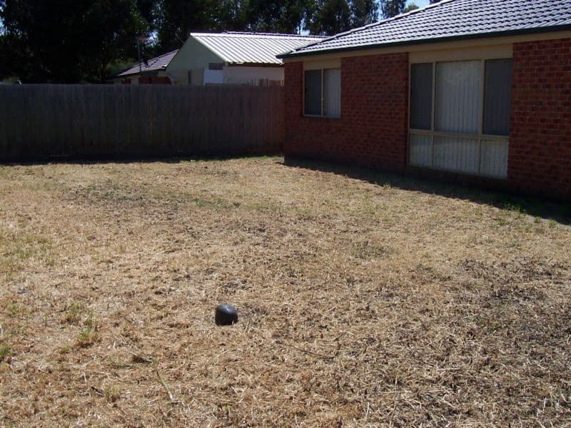 TARNEIT, VIC, Tarneit - Thumbnail 6