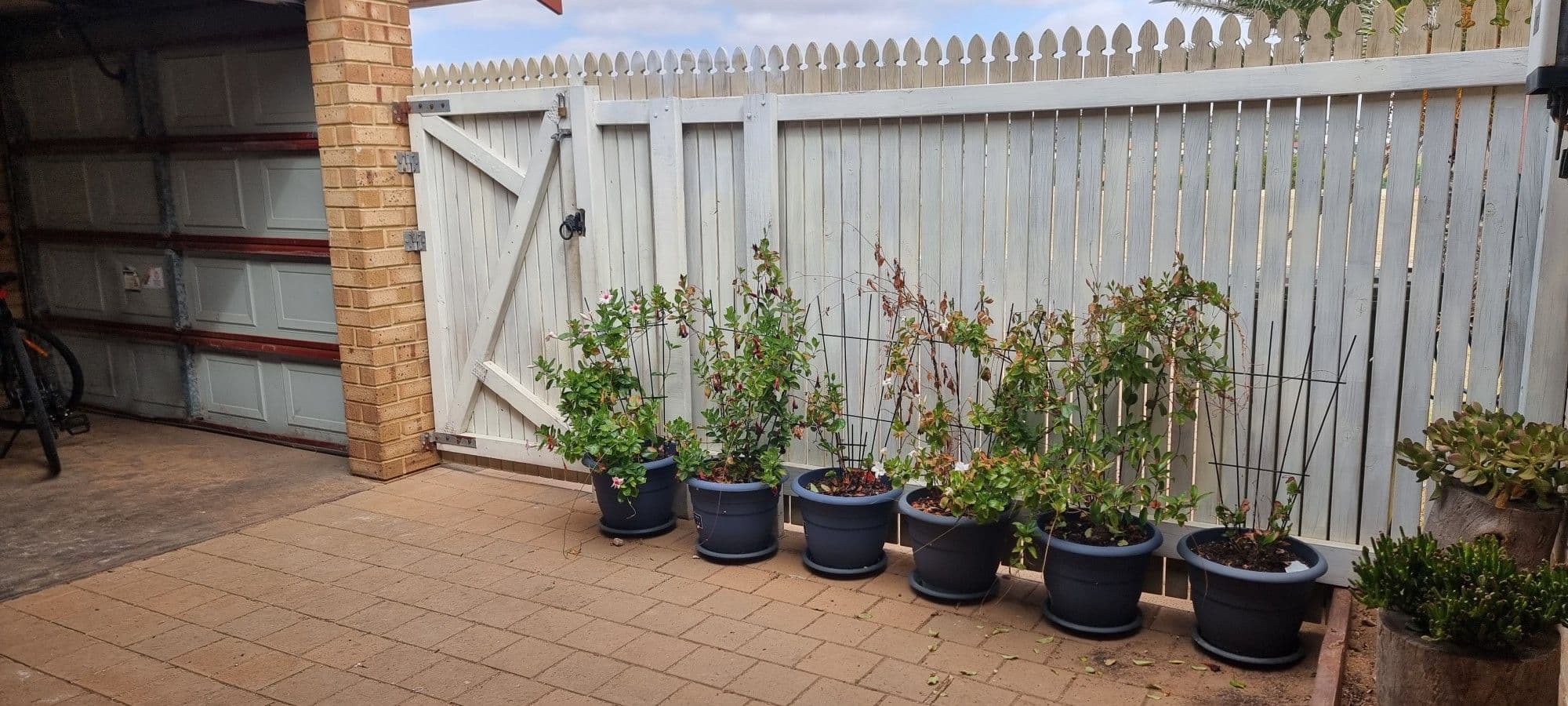 239 Willcock Drive, Mahomets Flats WA 6530, Mahomets Flats - Thumbnail 3